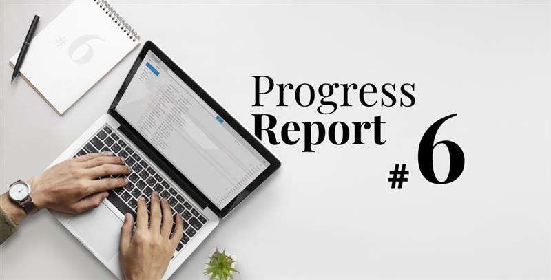 Progress Report #6: Blue Paper Release & Operators RG Data